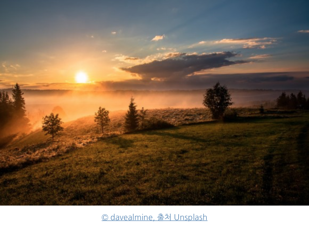 스크린샷 2020-09-17 오후 8.12.36.png