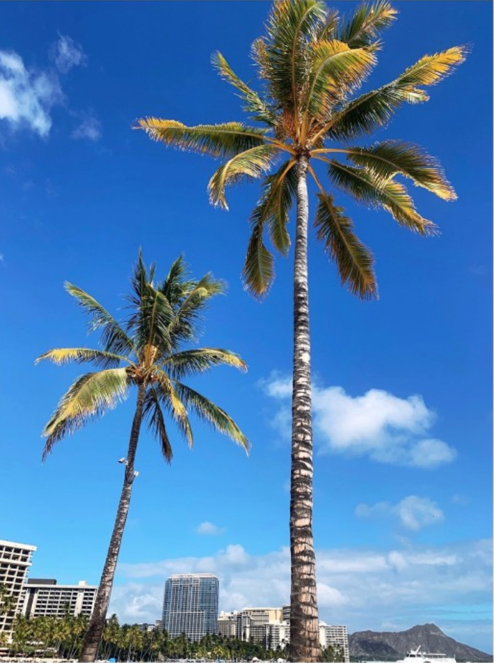 스크린샷 2022-08-01 02.14.32.png