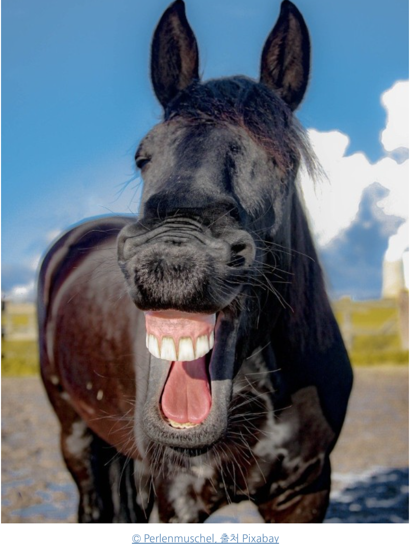 스크린샷 2020-10-19 오전 8.04.28.png