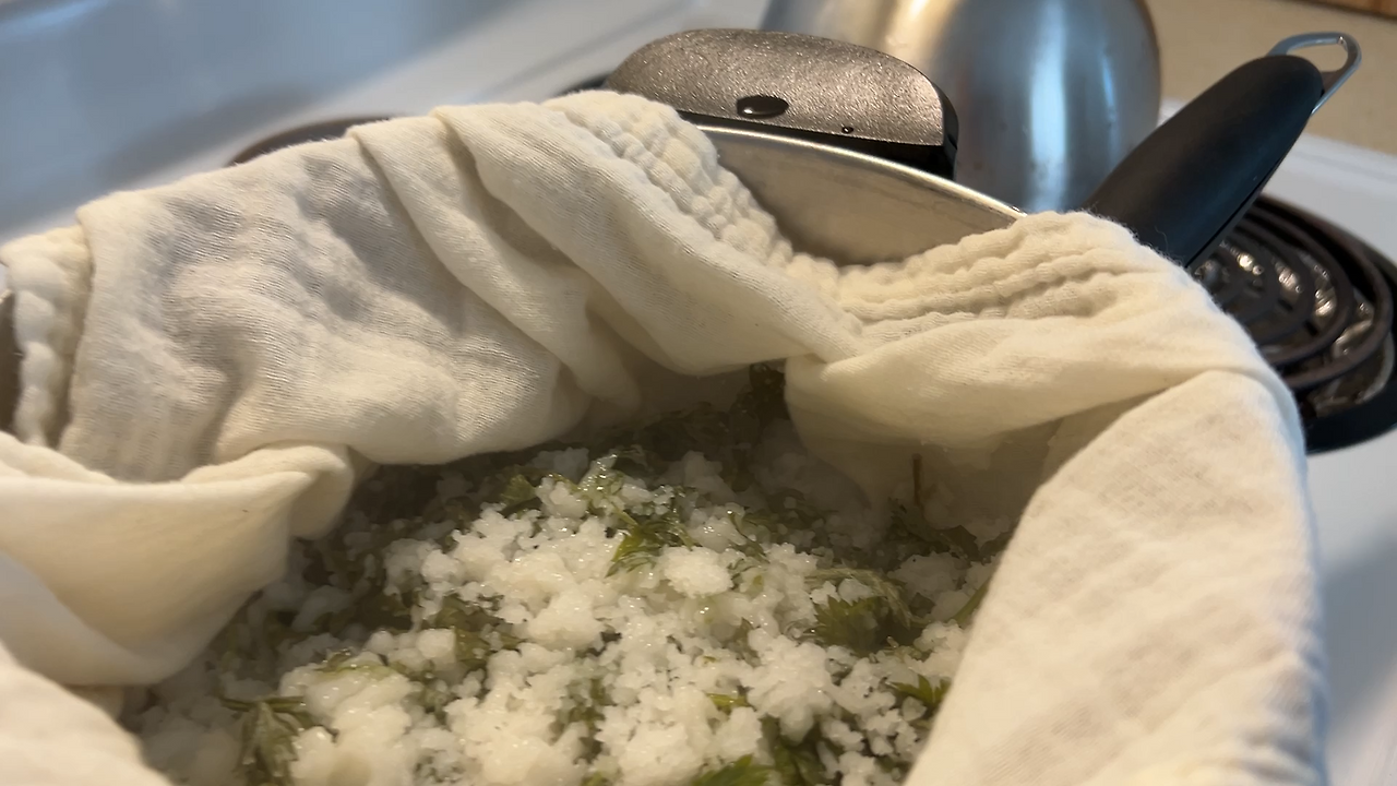 2504_CHERRY BLOSSOM.007.png