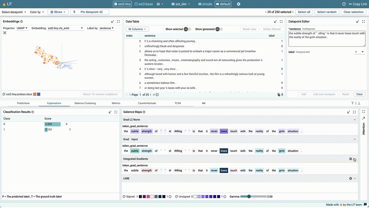 Responsible AI_LIT_TF.png
