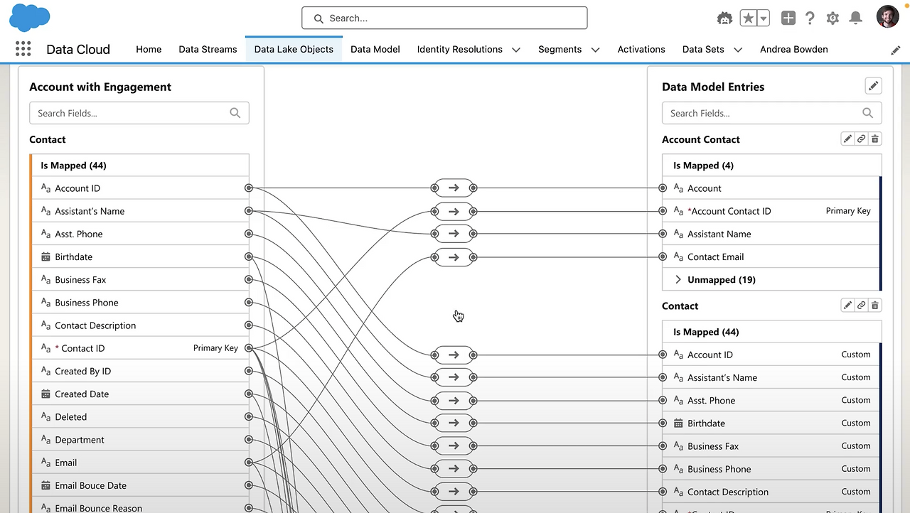 SS-Data-Cloud-harmonizes-data-from-many-different-sources-into-a-single-customer-view.png