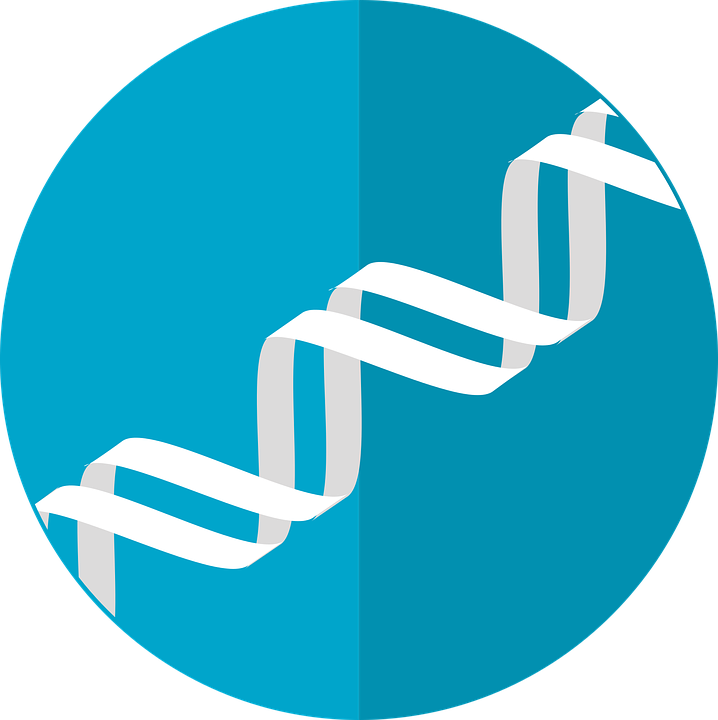 dna-icon-2316641_960_720.png