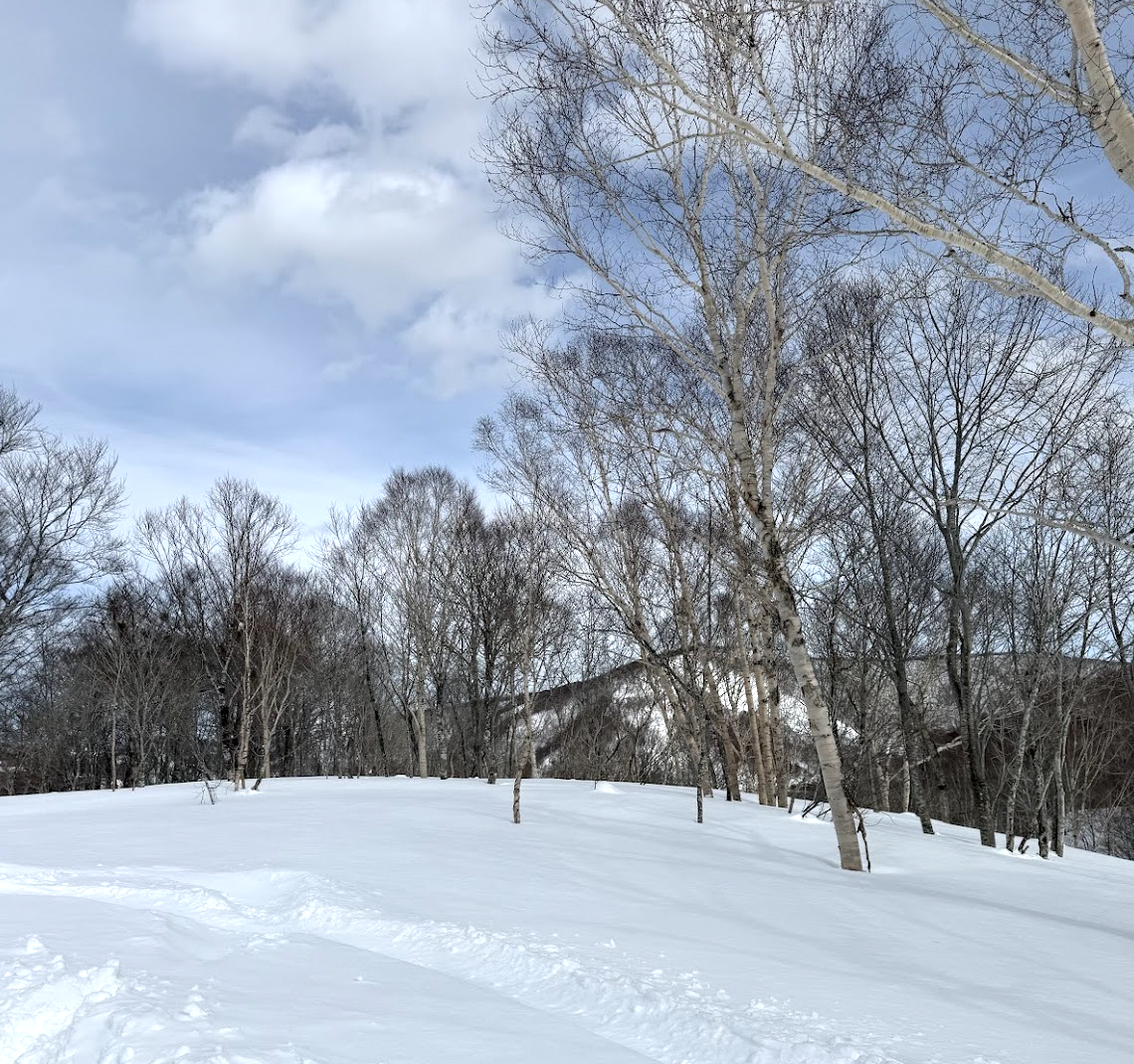 Screenshot 2026-01-06 at 7.44.31 PM.png