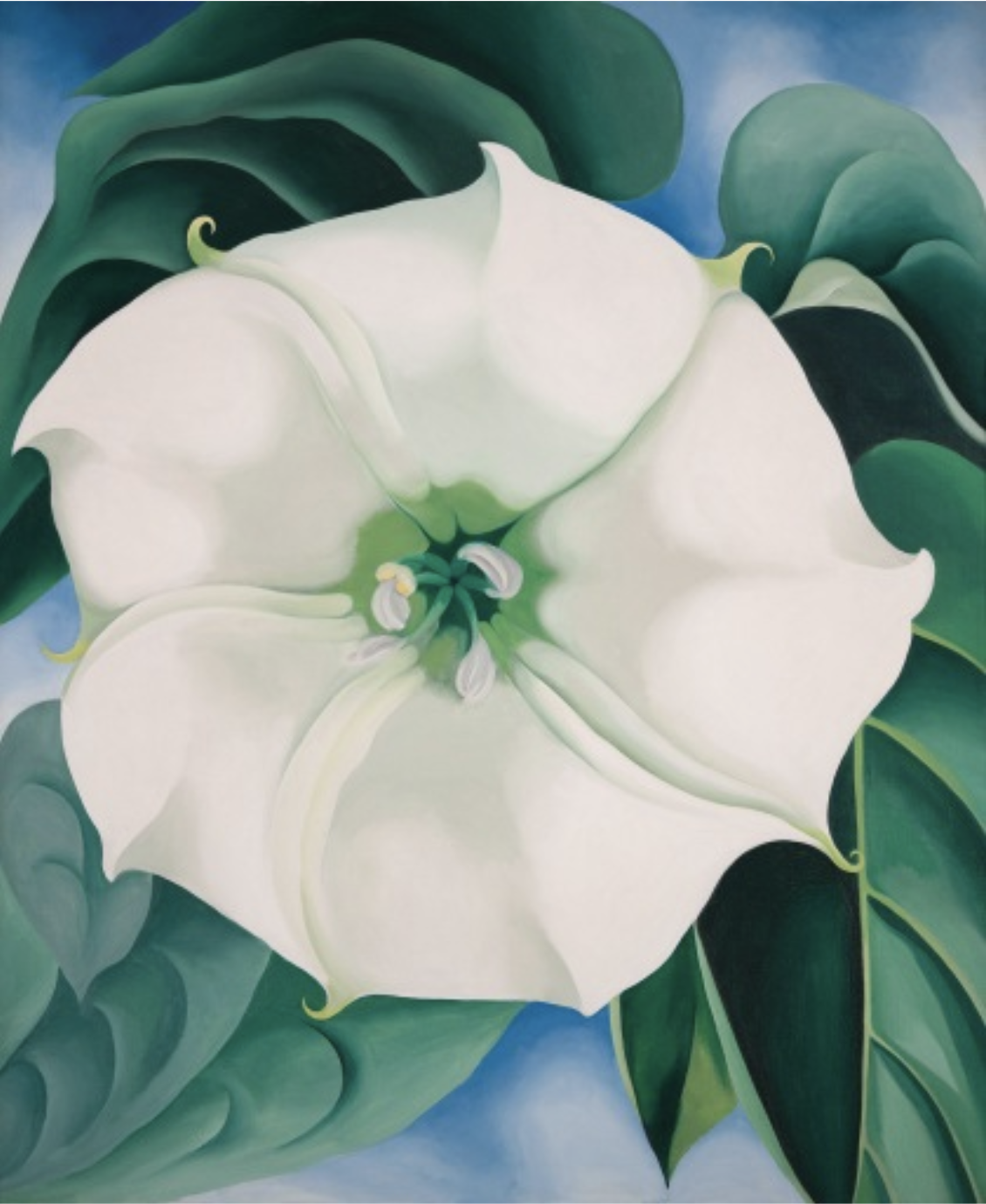 Georgia O'Keeffe, Jimson Weed No. 1 (흰독말풀 No. 1).png