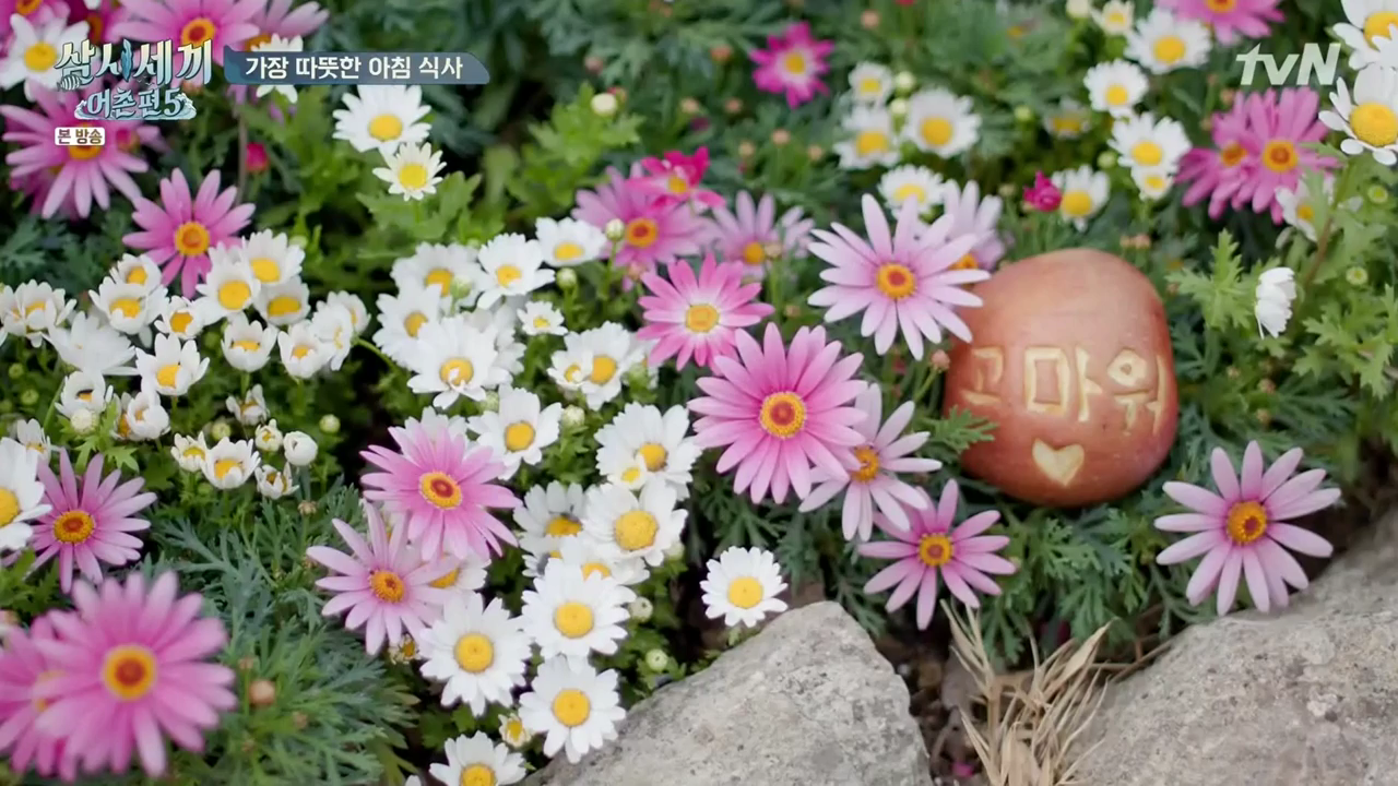 삼시세끼 어촌편 5.E03.200515.720p-NEXT.mp4_005856417.png