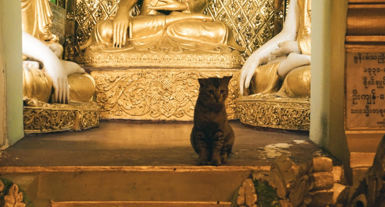 스크린샷 2025-02-04 오전 10.57.46.png