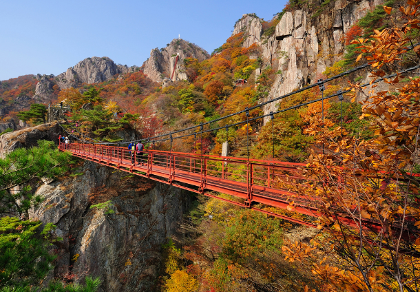 구름다리 대둔산.png