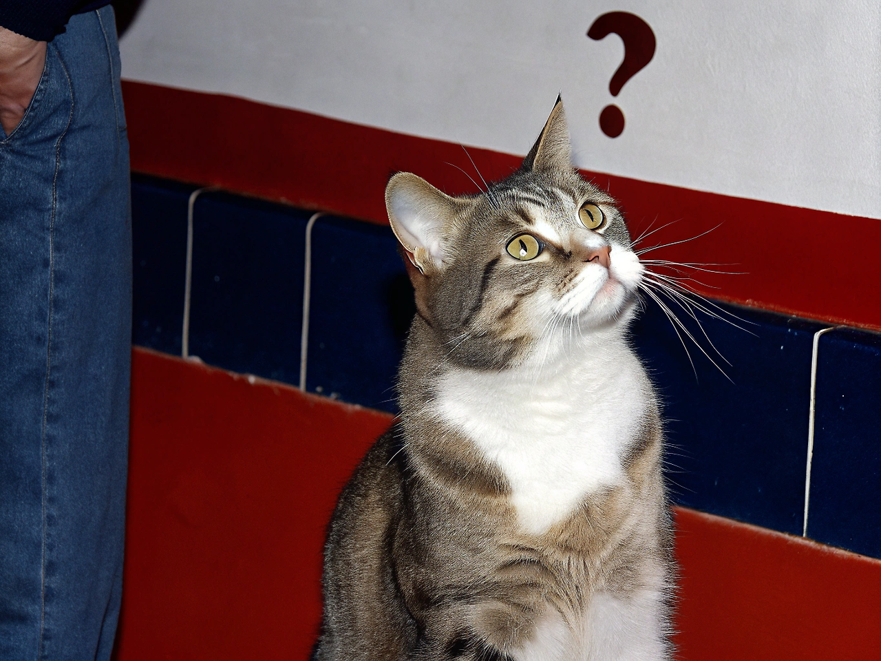 ------------------------------------- (1).png