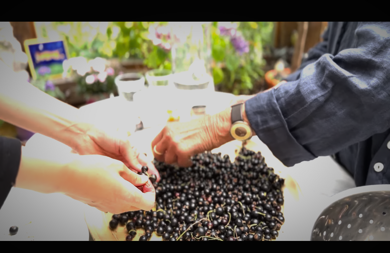 스크린샷 2025-10-02 오후 2.57.06.png