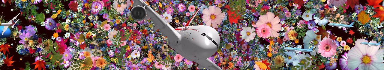 꽃과 비행기, 3분 2024 2.png