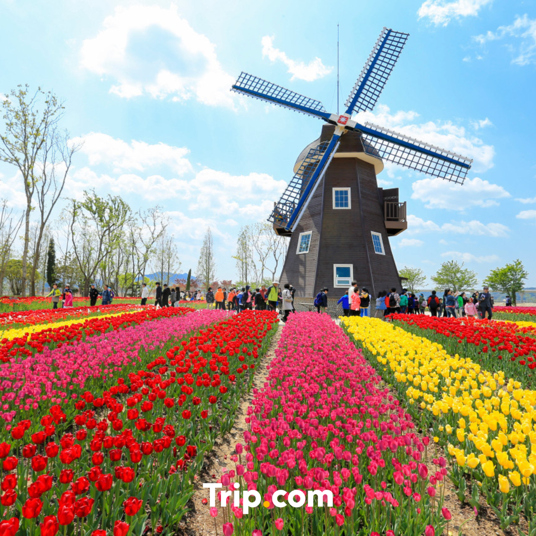 Naver Blog_Thumb.png