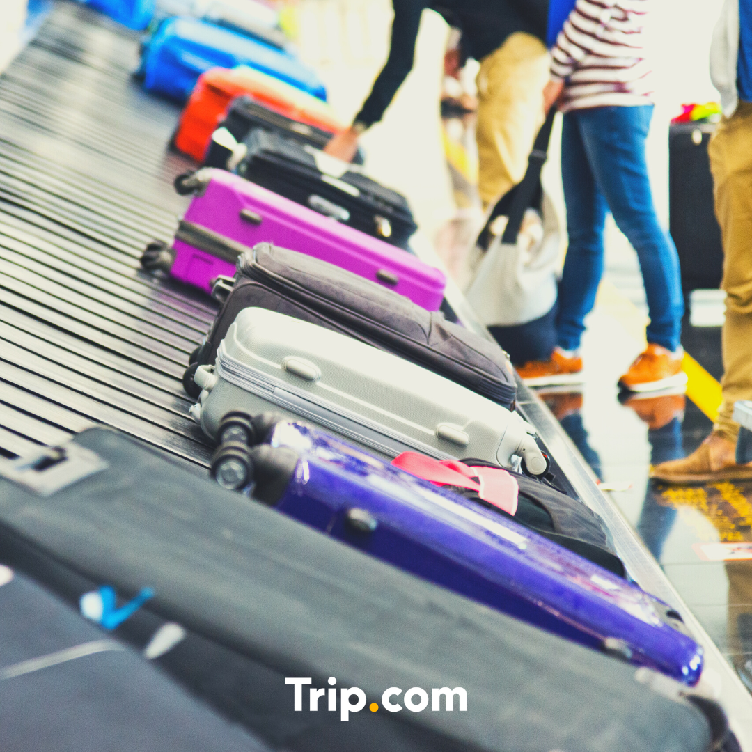 Naver Blog_Thumb.png