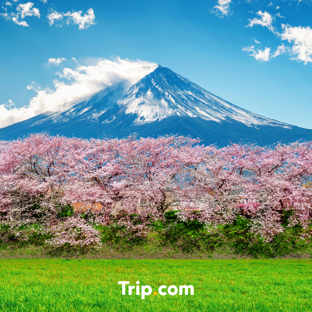 Naver Blog_Thumb.png