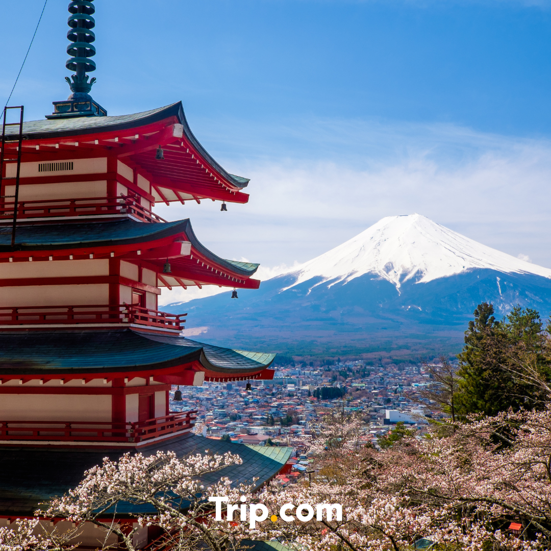 Naver Blog_Thumb.png