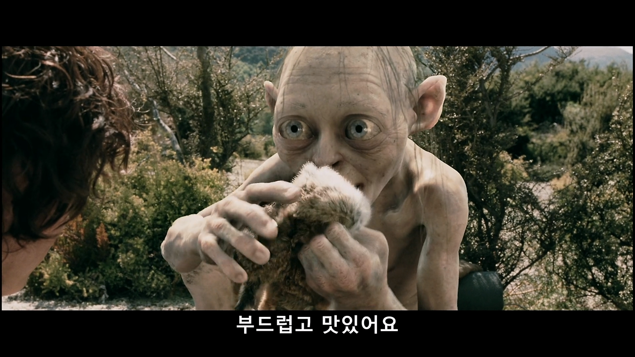 반지의 제왕2 - 두개의 탑(확장판).2002.1080p.x264.AAC.mp4_20241205_220748.334.png