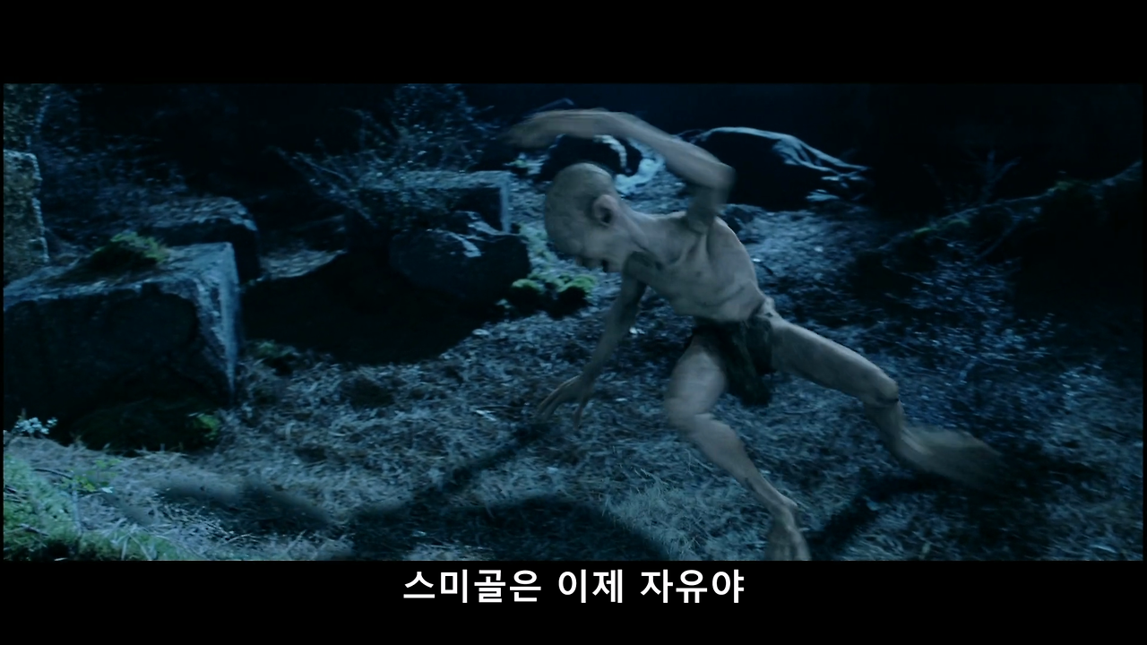 반지의 제왕2 - 두개의 탑(확장판).2002.1080p.x264.AAC.mp4_20241205_220739.903.png