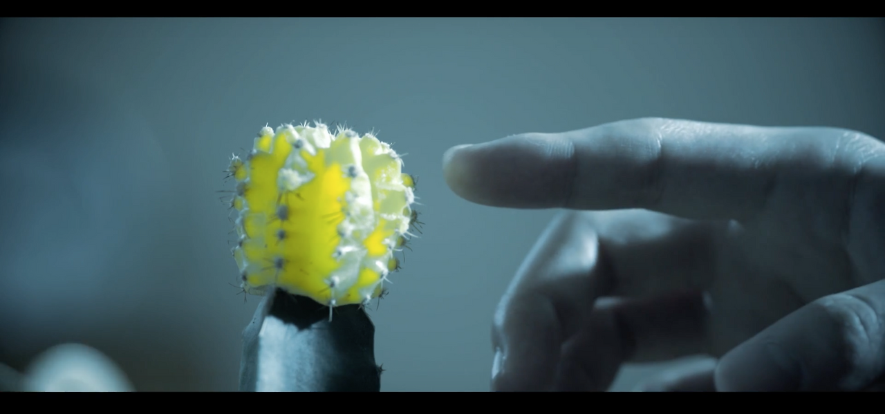 Screen Shot 2017-09-04 at 8.26.29 PM.png