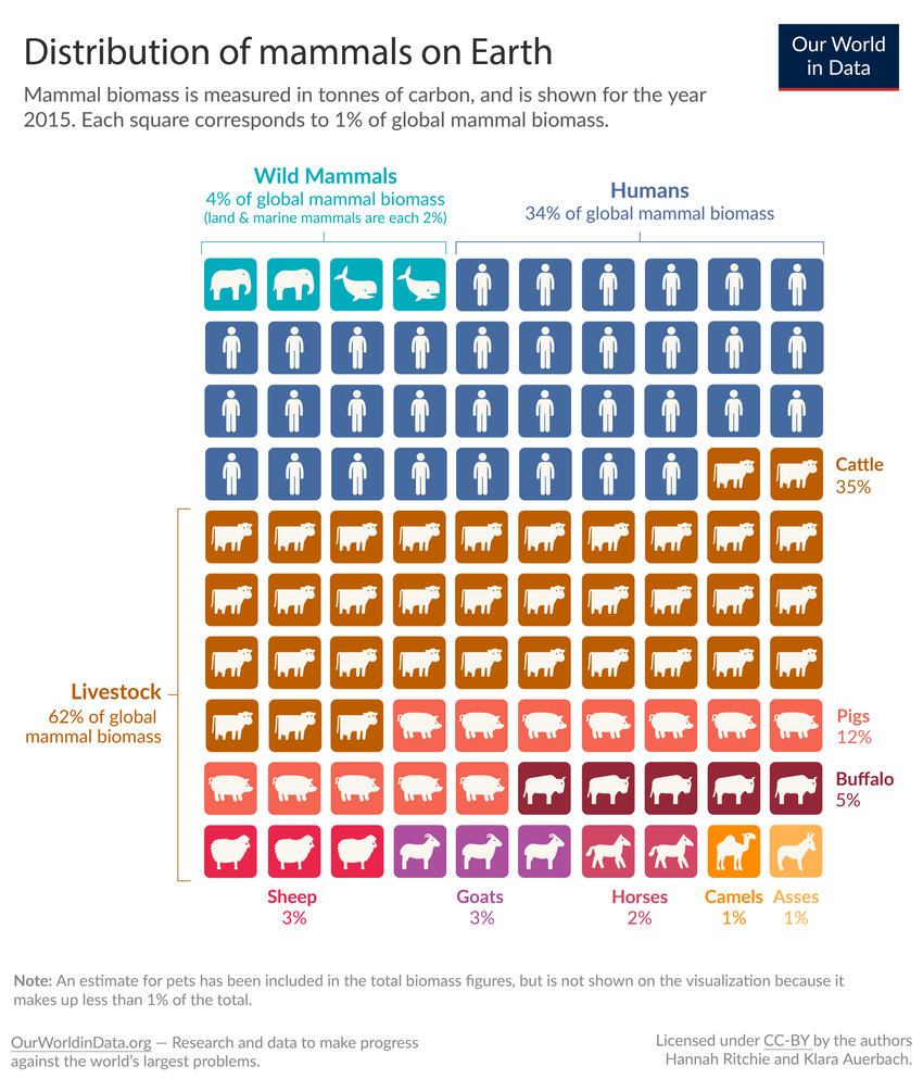 14. Distribution-of-earths-mammals_850.png