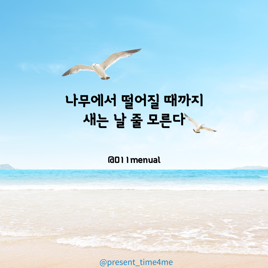 나무에서-떨어질-때까지-Comfort-Zone-001.png