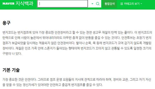 네이버 백과  번지점프.png