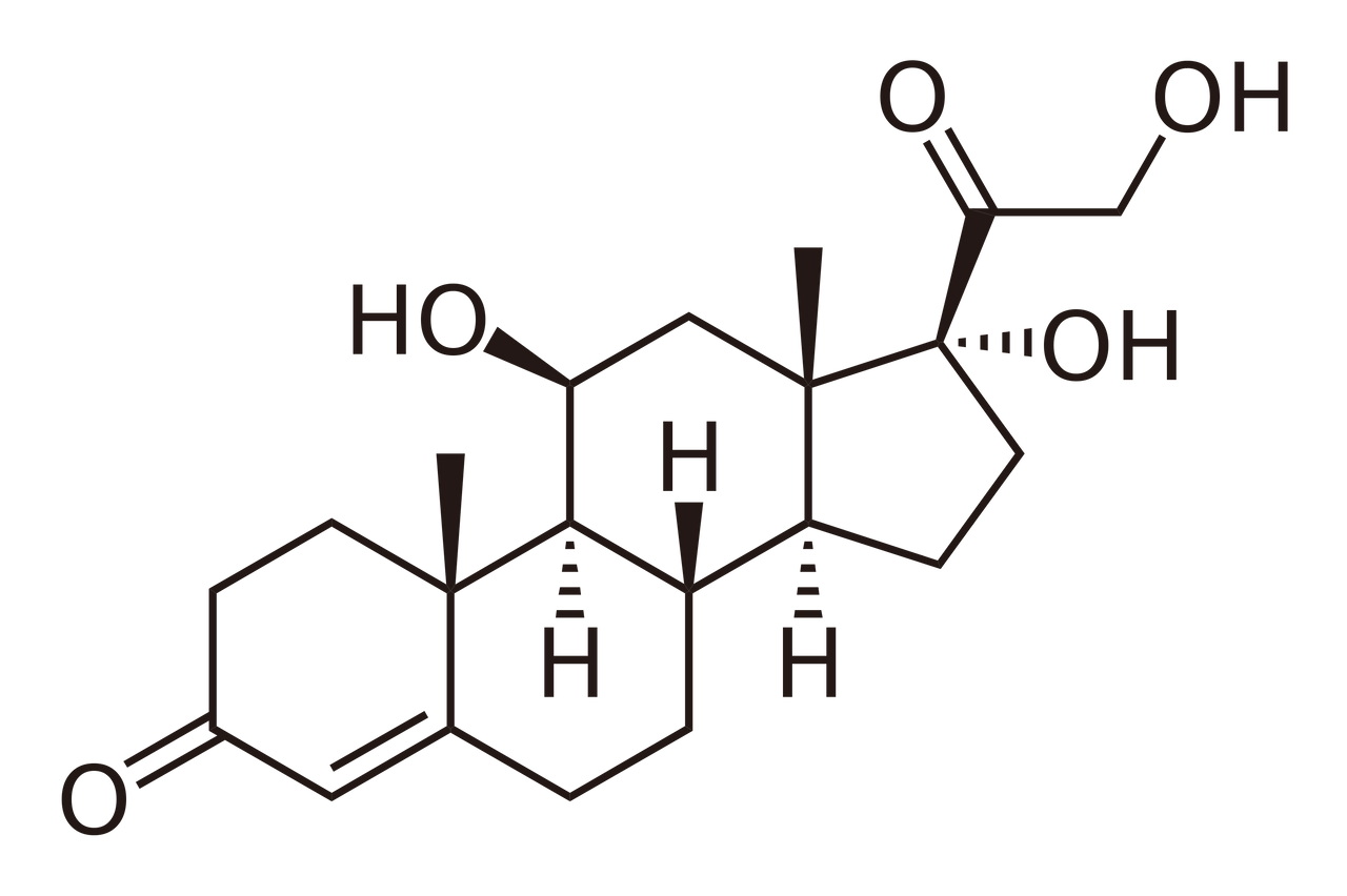 2880px-Cortisol2.svg.png