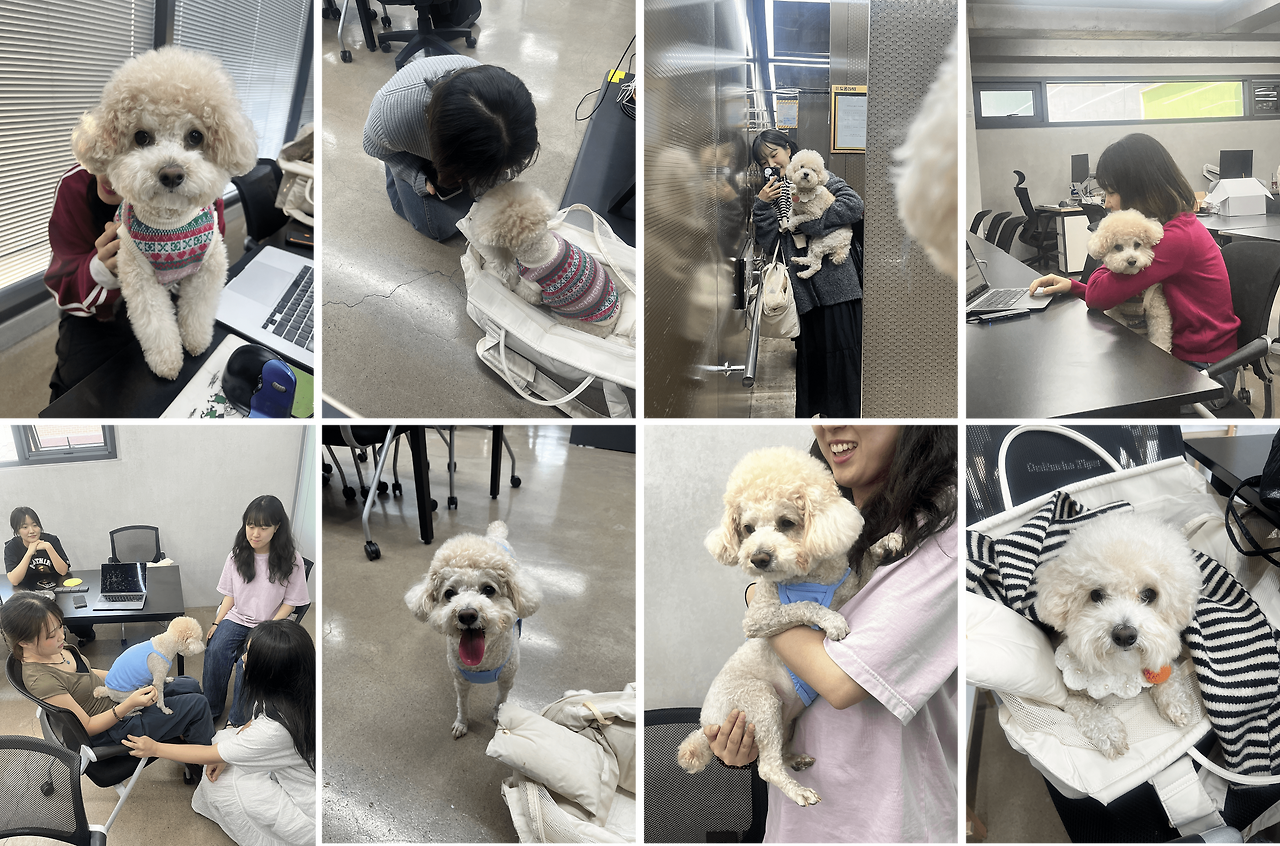 Group 2147223932-min.png