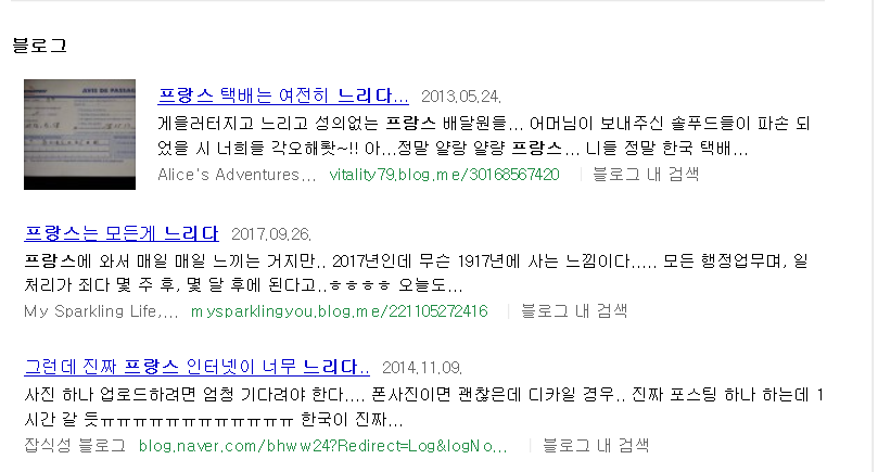 프랑스 느리다.png