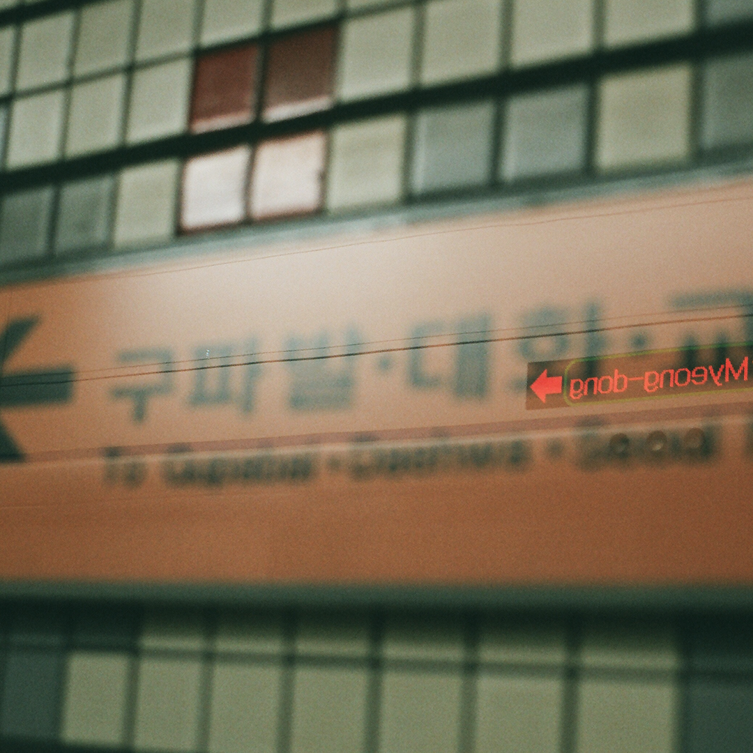 163 사실과거짓.png