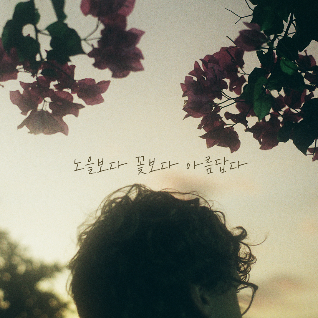 061 노을보다꽃보다아름답다.png