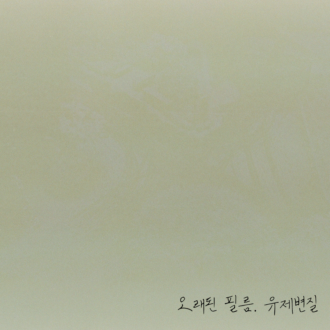 151 유제변질.png