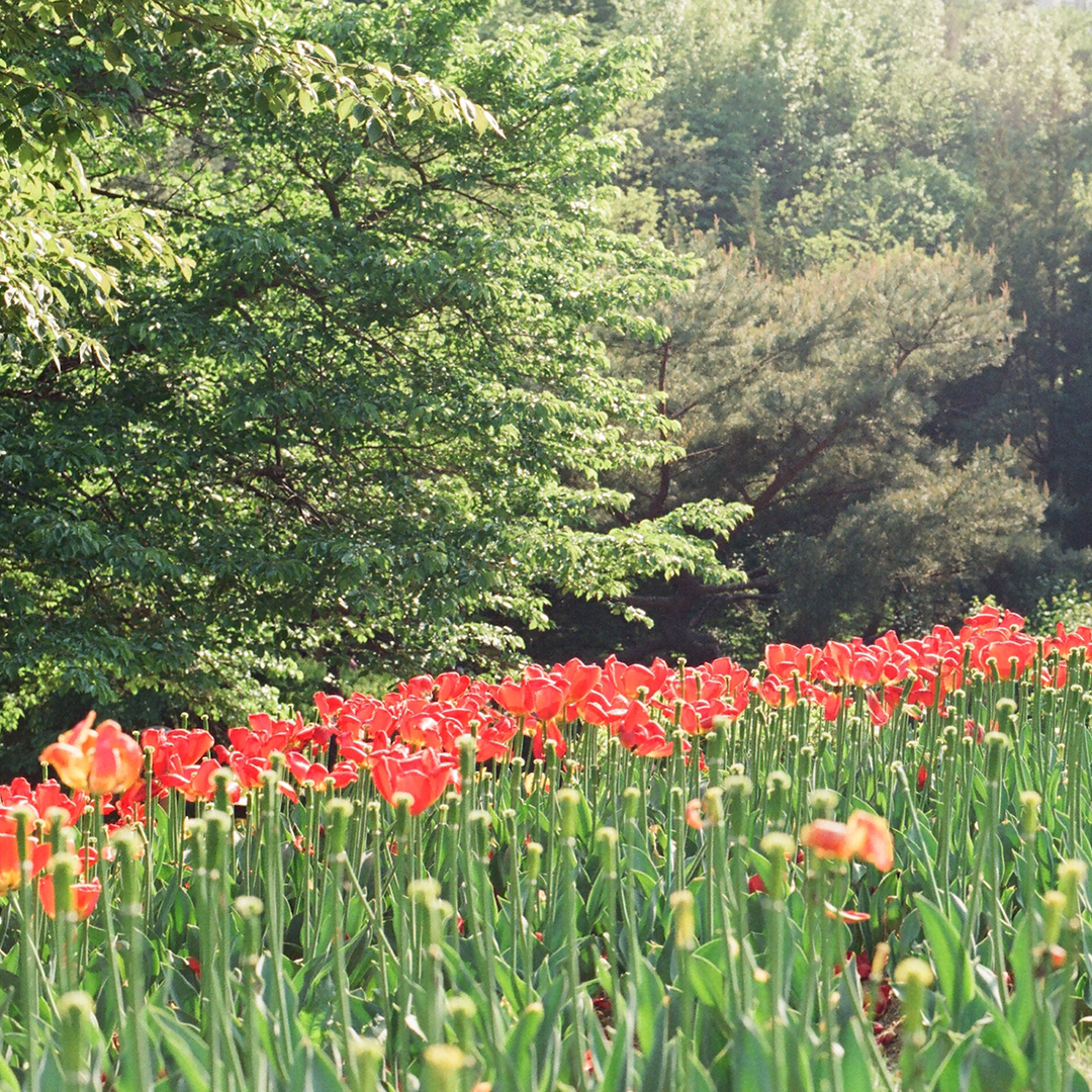 105 여름의색깔.png