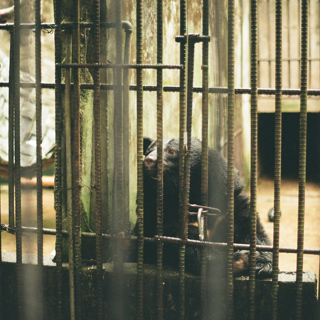 173 곰곰이.png