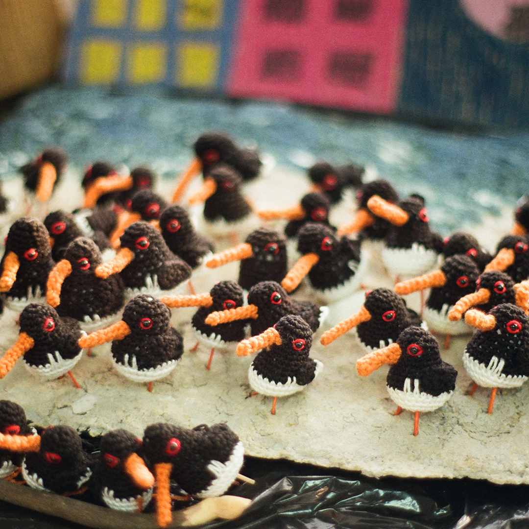 246 탐조.png