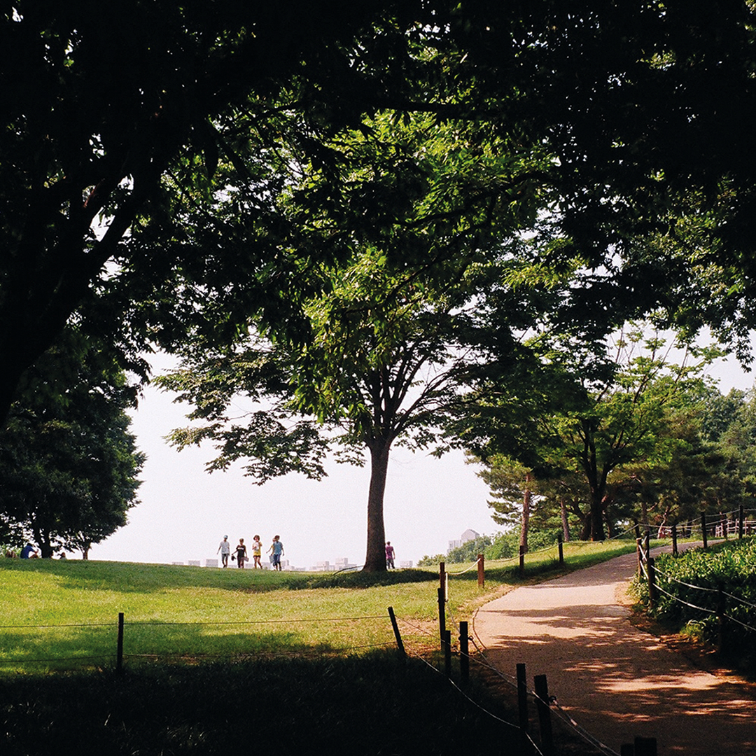 097 매미가운다.png