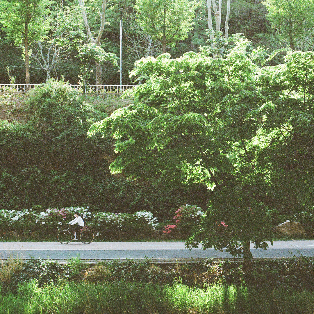 075 초록의계절.png