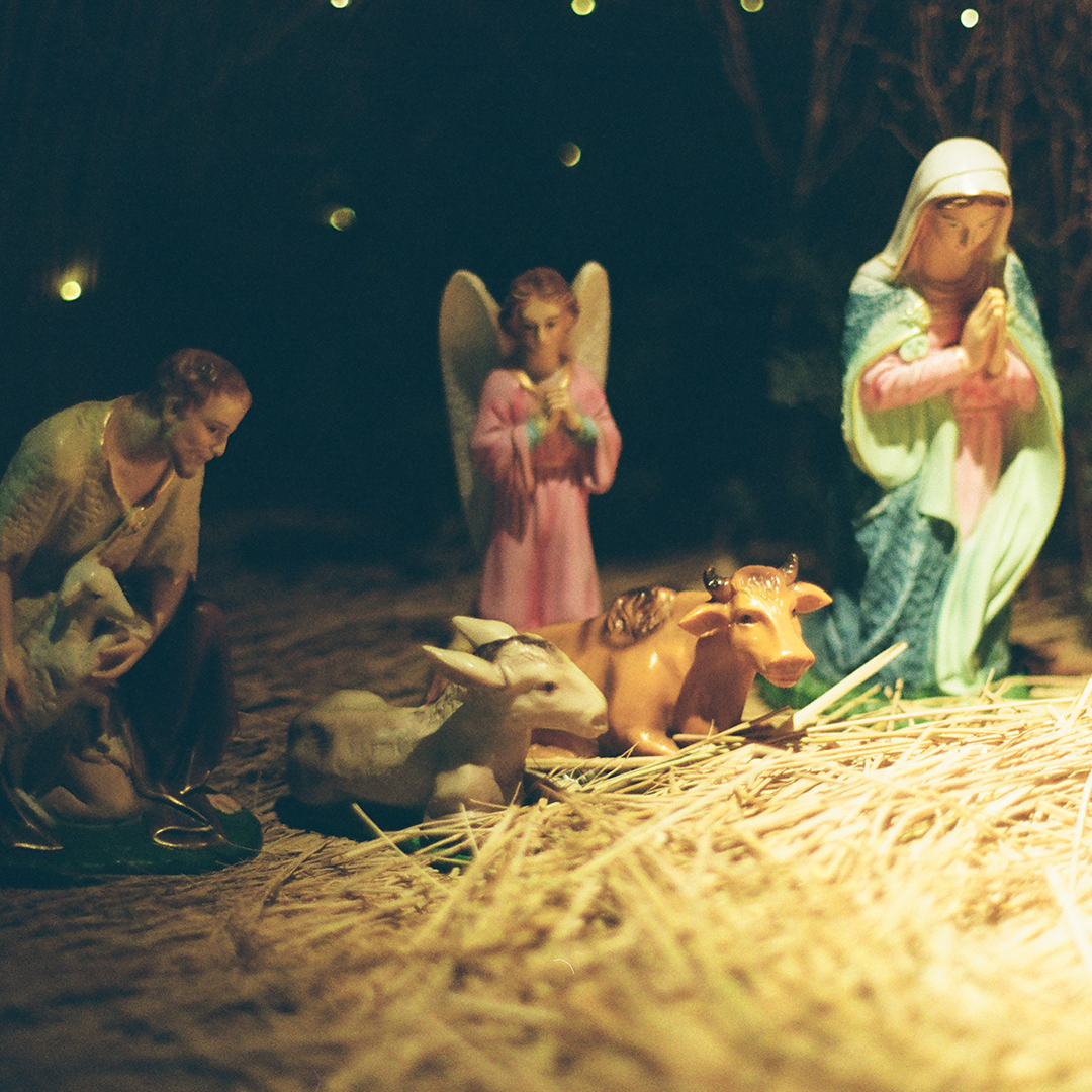 144 탄생의기쁨.png