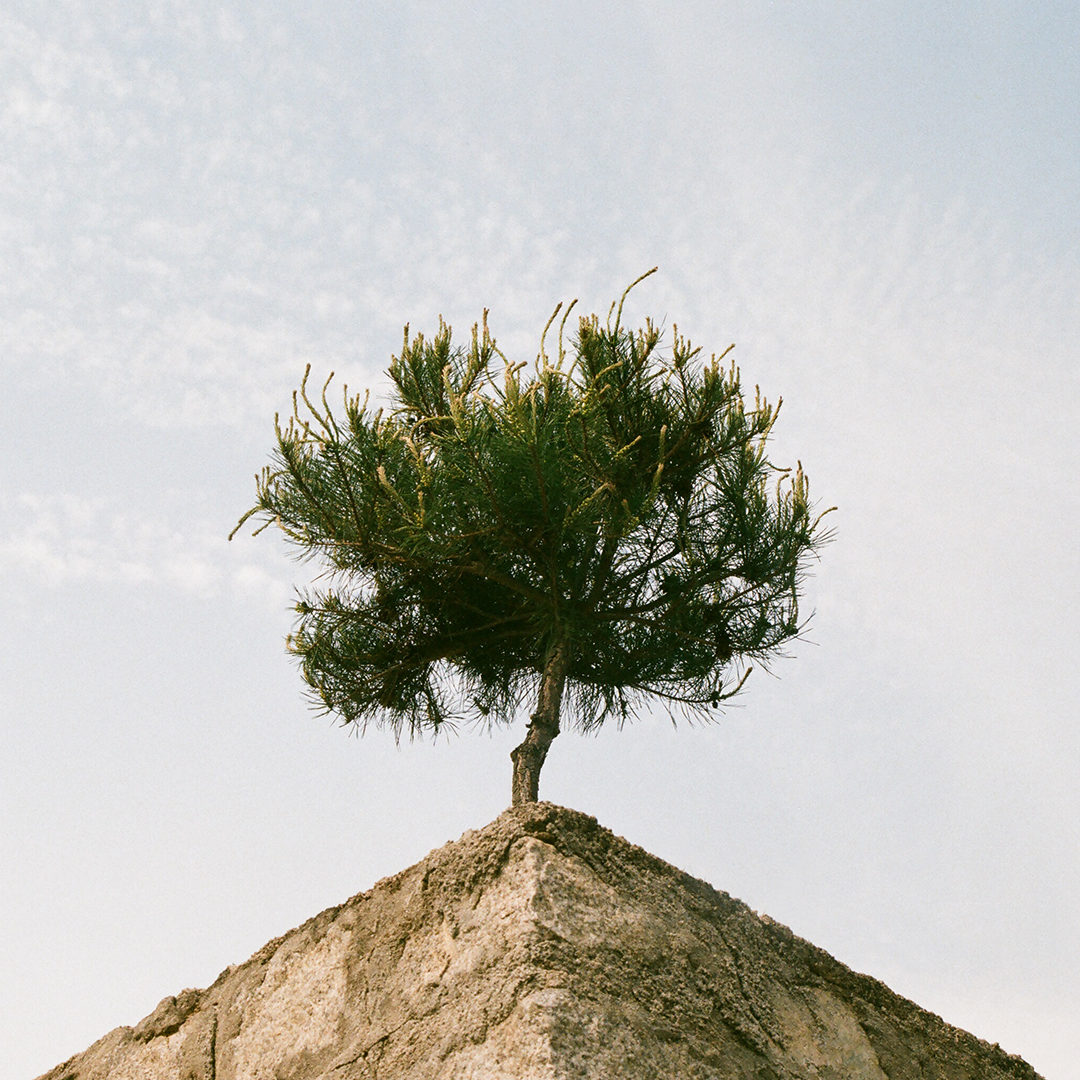 145 어떤연말.png