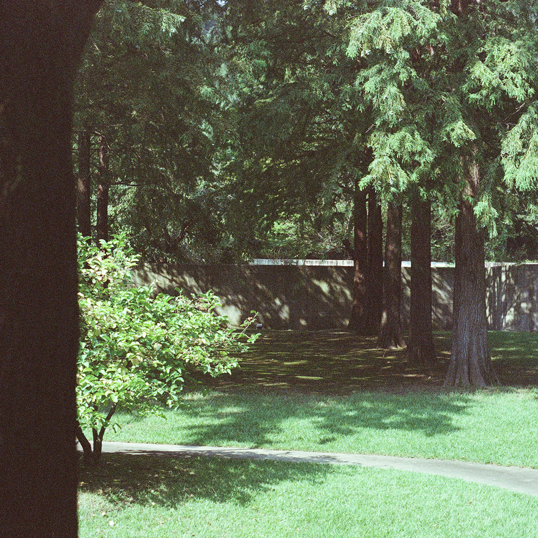 204 그늘이필요해.png