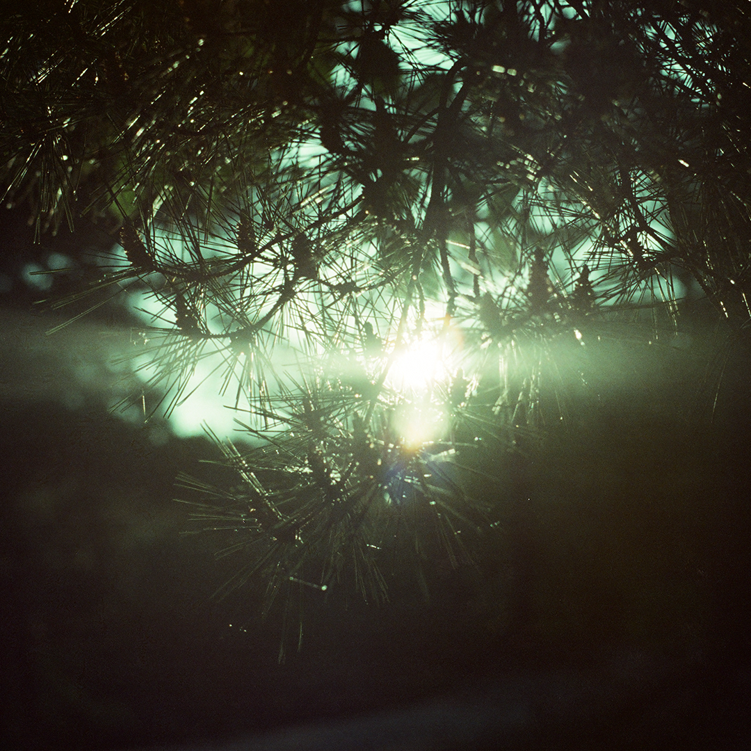 102 틈새의빛.png