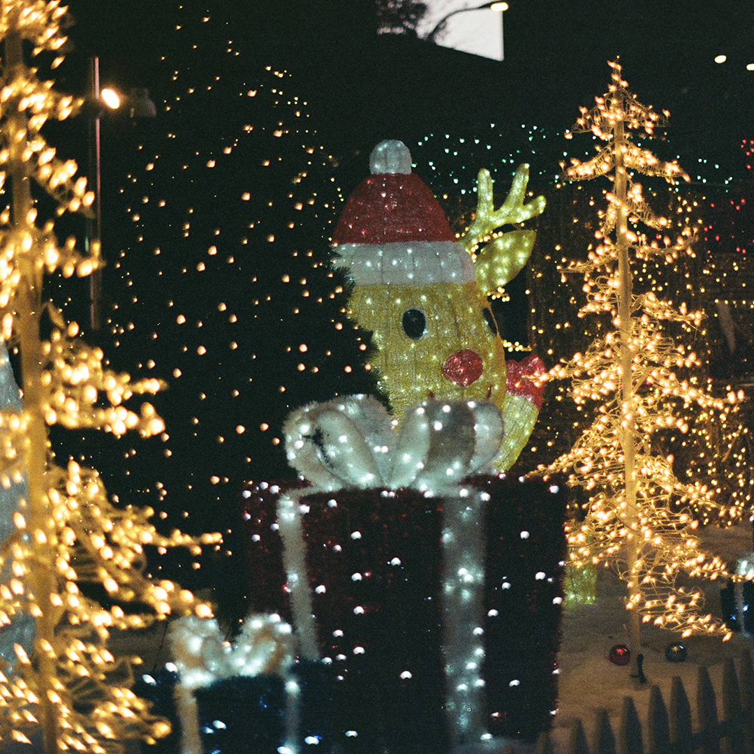 247 크리스마스.png