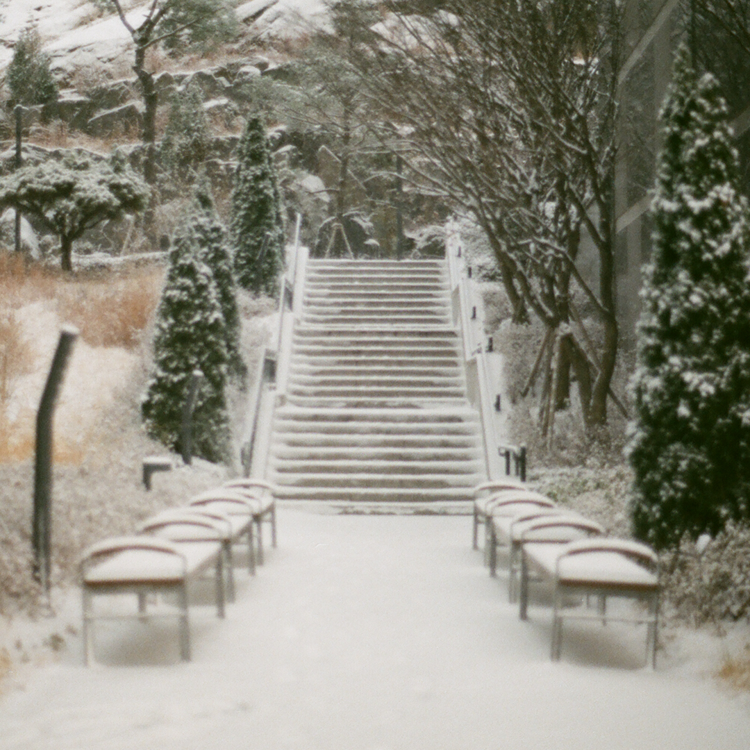 162 밖에눈왔대.png