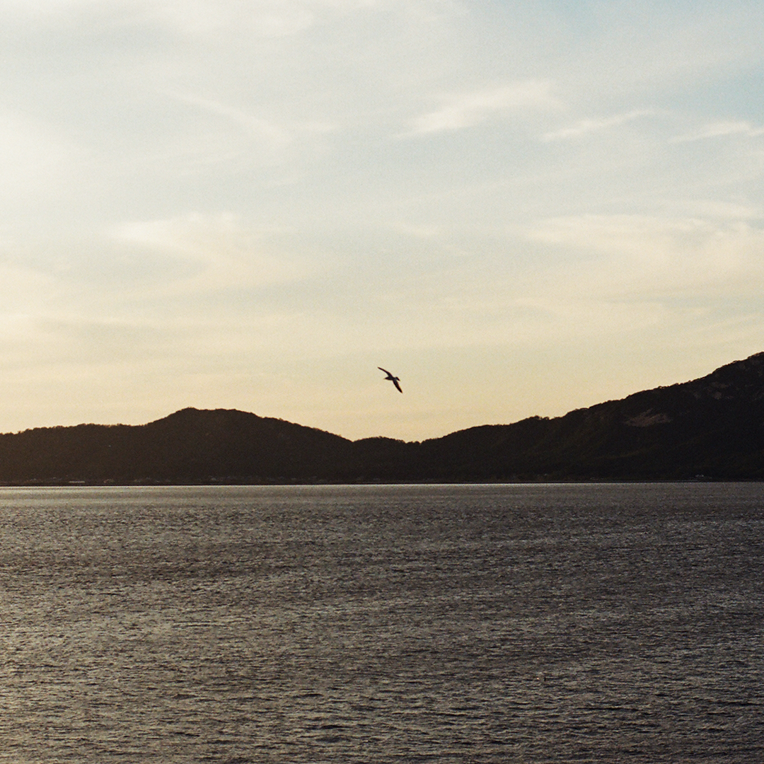 006 나는새.png