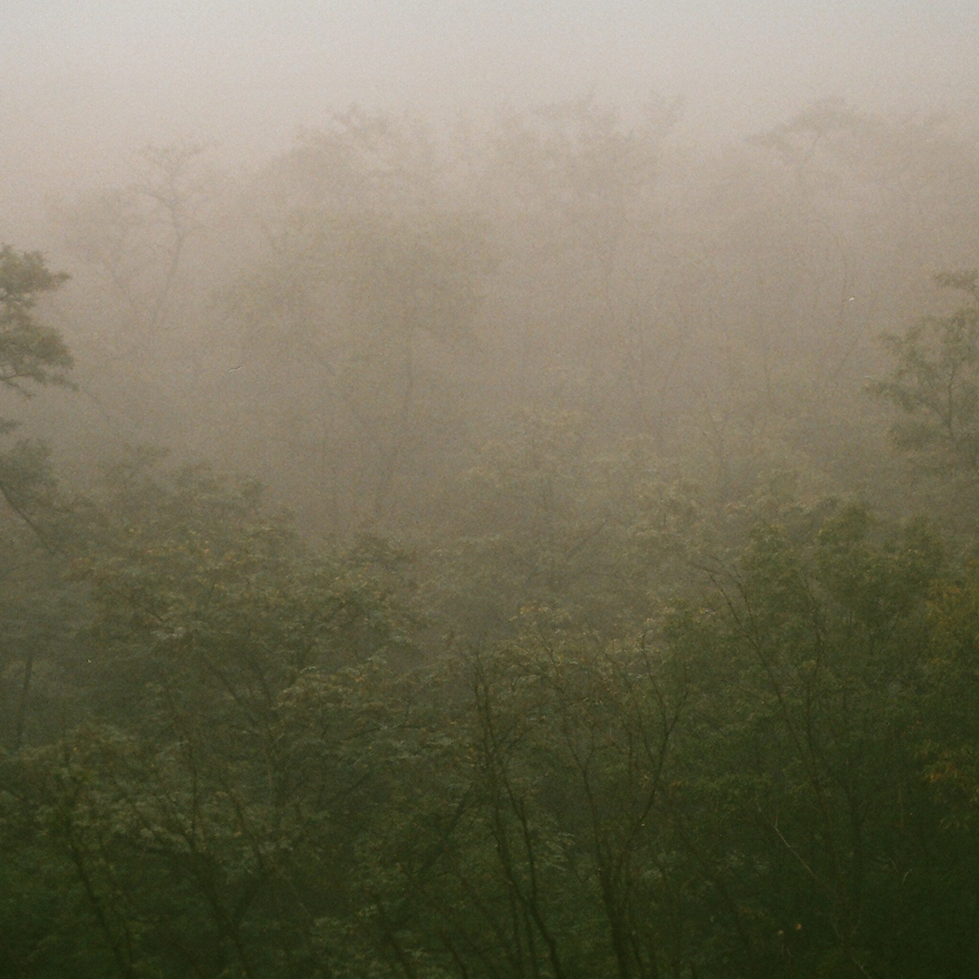 224 비내리다.png