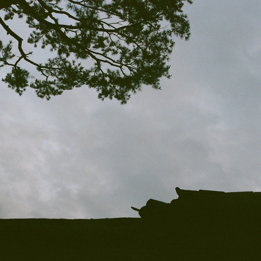 251 나무와하늘과그늘과휴식이필요해.png