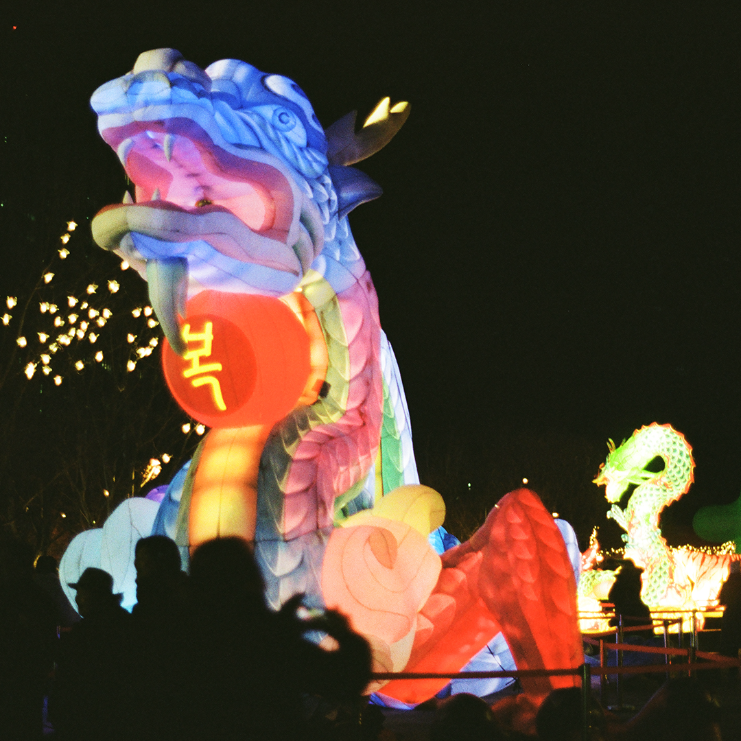 054 새해복.png