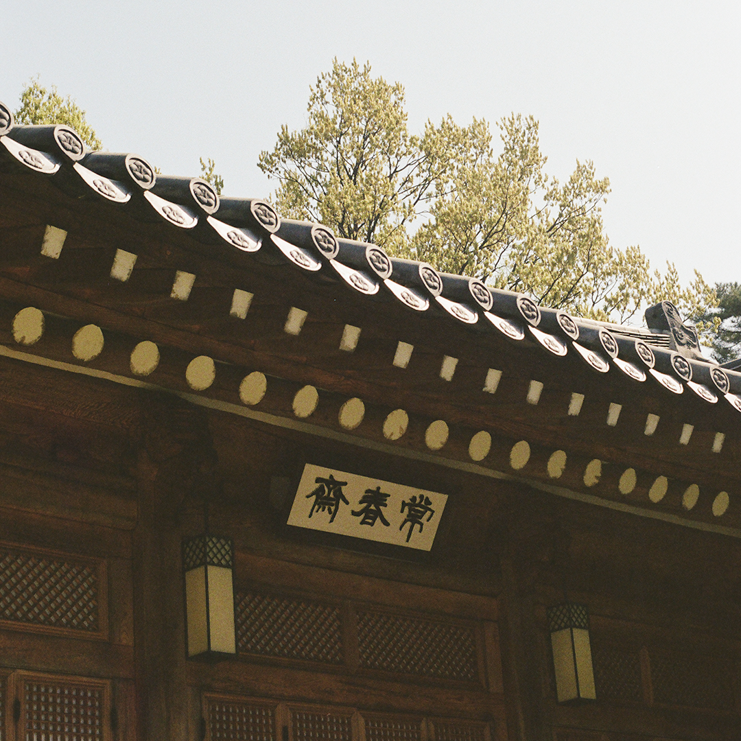 166 언제나봄.png