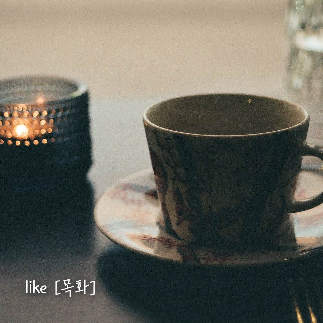 101 라이크목화.png