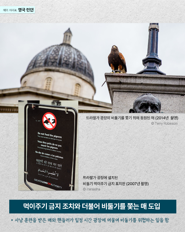 02매 도입.png