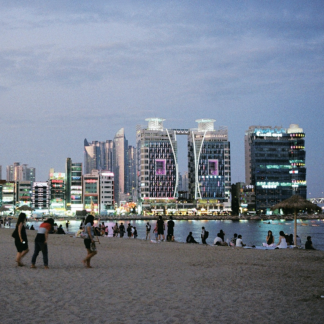 210 그여름밤.png